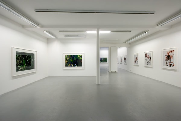 James Welling – installation view 1
