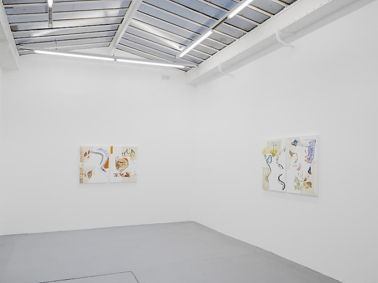 Pia Fries: Merian's Surinam – installation view 5