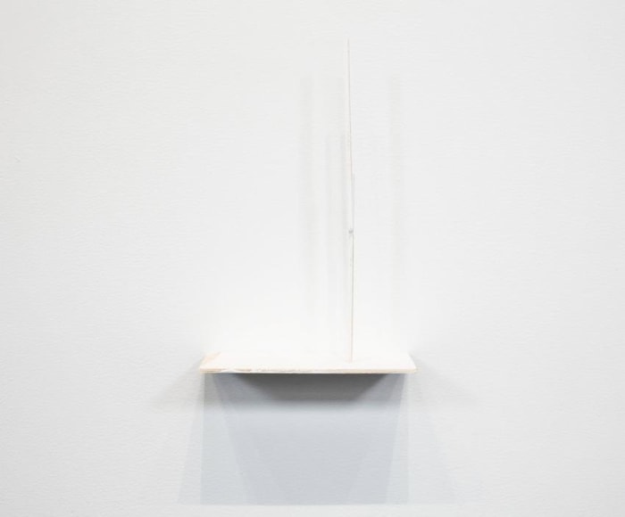 Fernanda Gomes Untitled