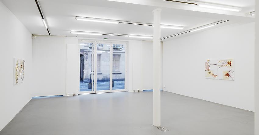 Pia Fries: Merian's Surinam – installation view 6