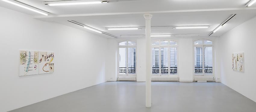 Pia Fries: Merian's Surinam – installation view 8