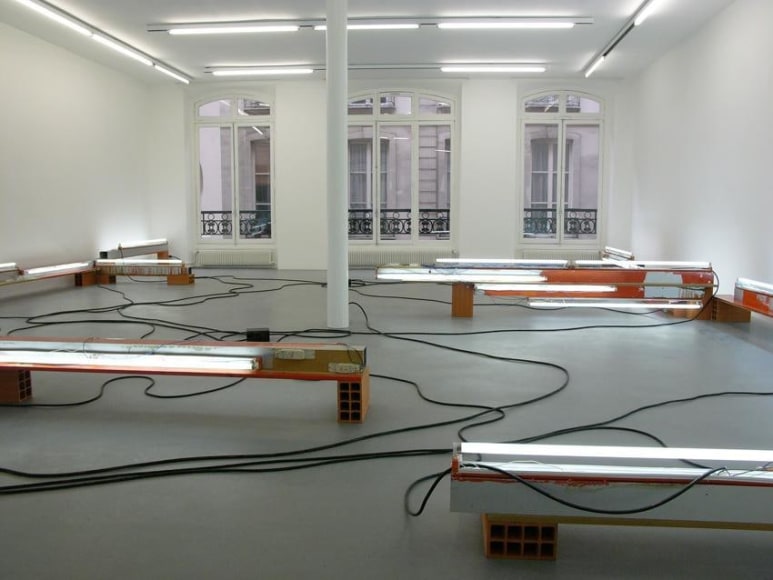 Pedro Cabrita Reis – installation view 11