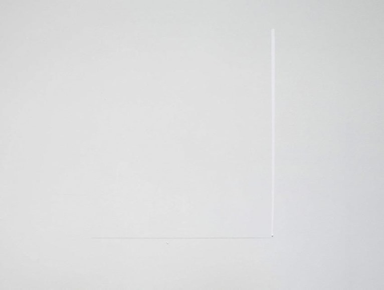 Fernanda Gomes Untitled