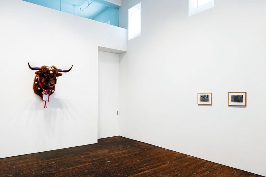 Summer Reading, curated by Richard Wentworth – installation view 10