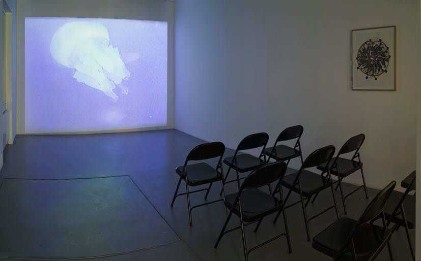 Anne-Marie Schneider – installation view 10