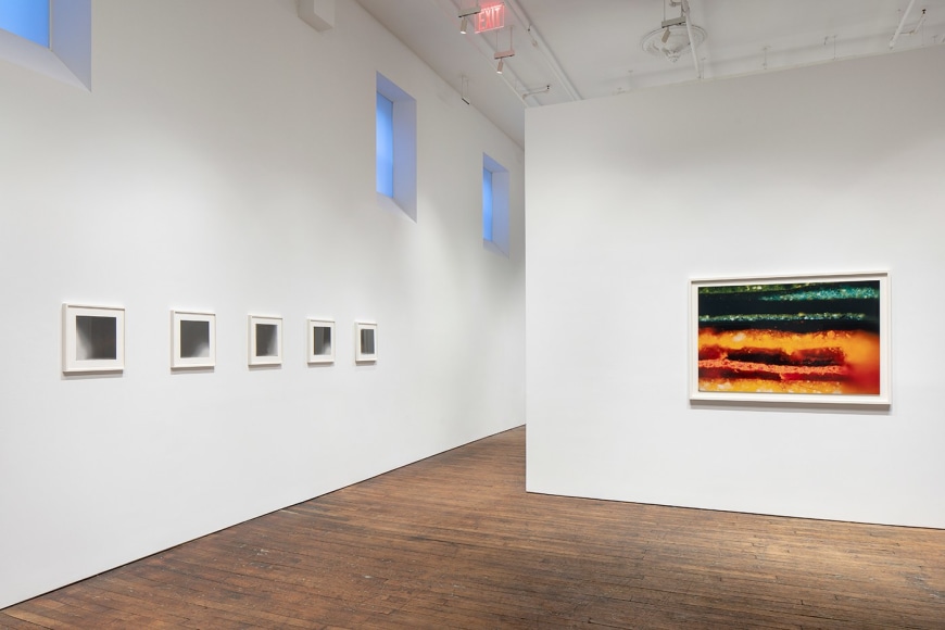 Primordial Soup, installation view