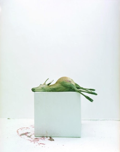 Eric Poitevin Sans titre
