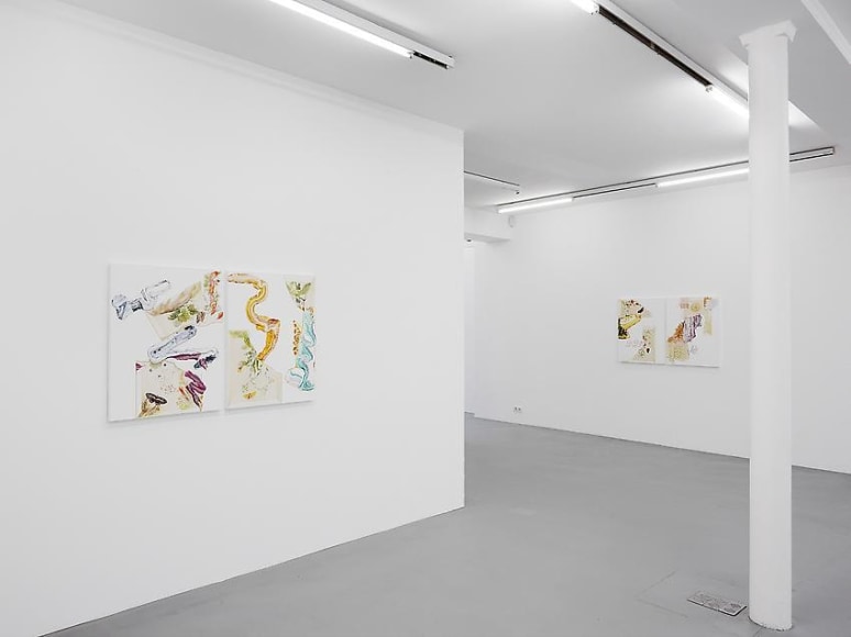 Pia Fries: Merian's Surinam – installation view 3