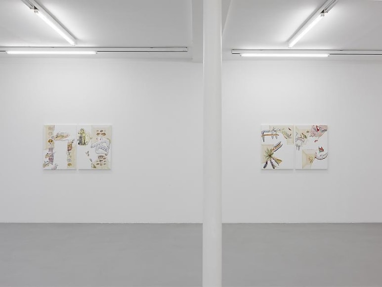 Pia Fries: Merian's Surinam – installation view 10