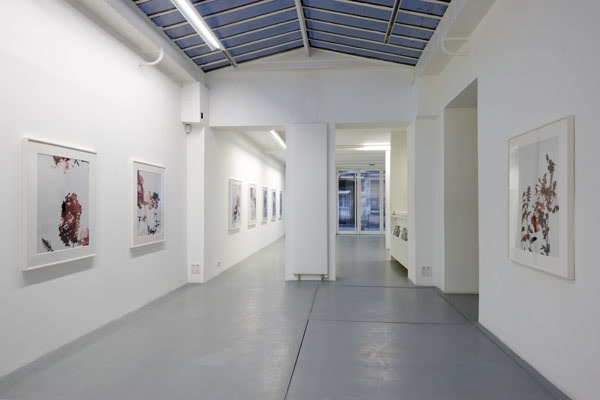 James Welling – installation view 9
