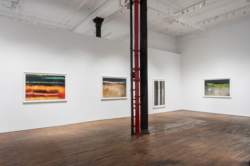 Primordial Soup, installation view