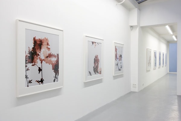 James Welling – installation view 8