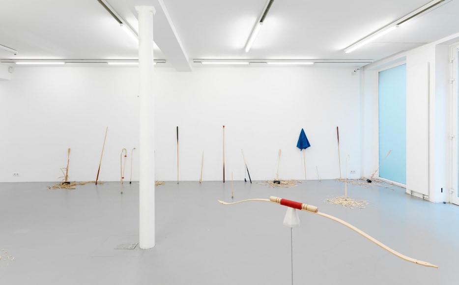 Ania Soliman - David Adamo, Galerie Nelson-Freeman, Paris. 