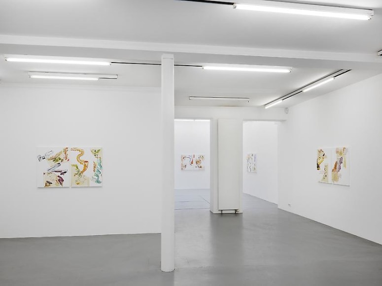 Pia Fries: Merian's Surinam – installation view 1