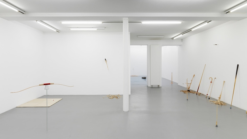 Ania Soliman - David Adamo, Galerie Nelson-Freeman, Paris. 