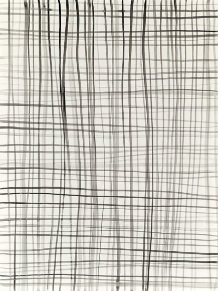 Silvia Bächli Lines 39