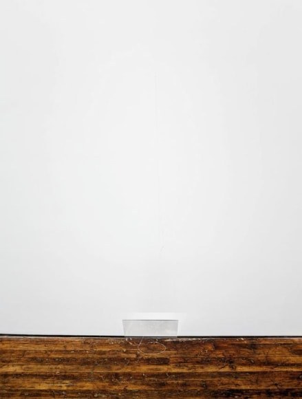Fernanda Gomes Untitled
