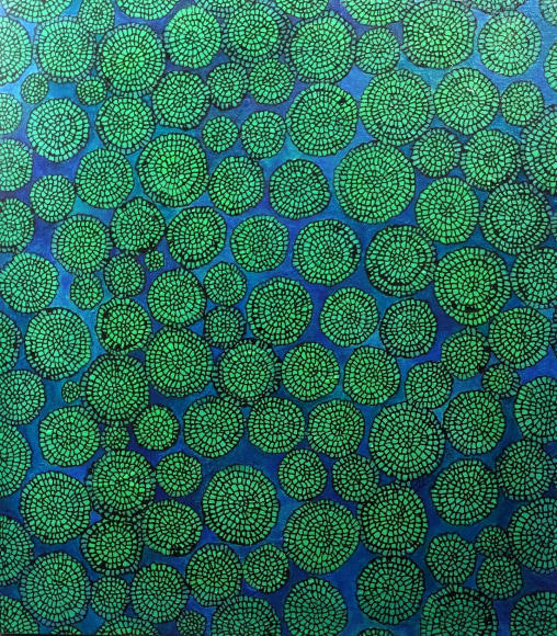 Shanthi Chandrasekar, Multiverse - Clusters