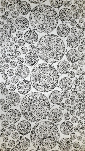 Shanthi Chandrasekar, Fields-Cosmos