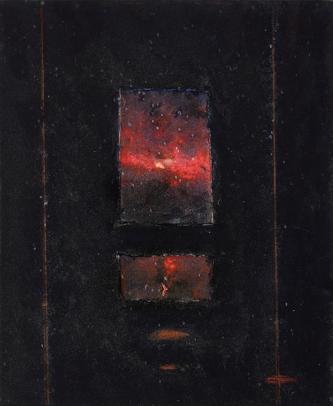 Sandra Lerner, Microcosm X