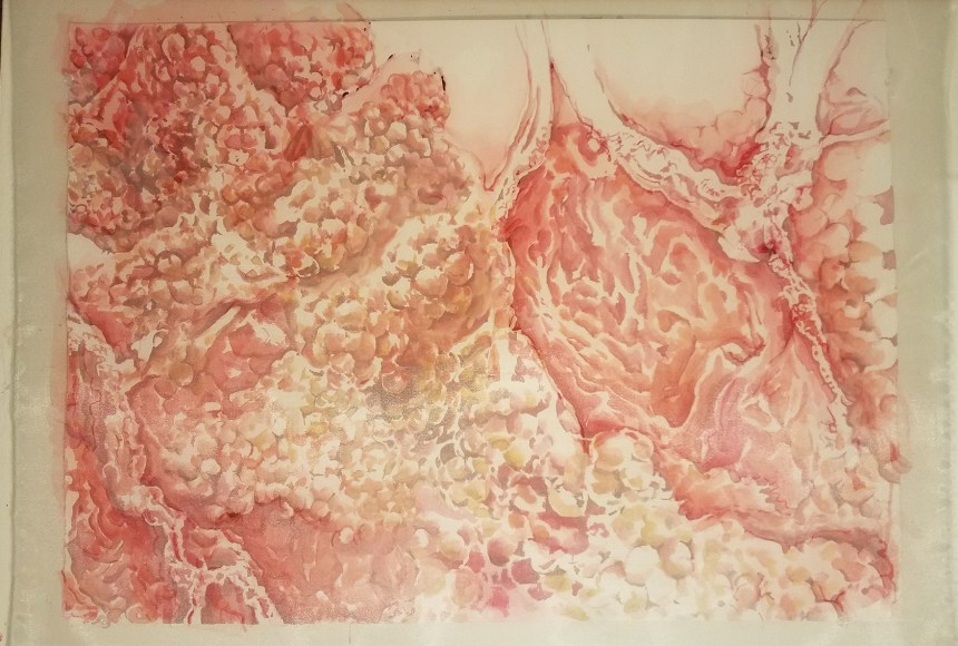 Michal Gavish, Alveoli