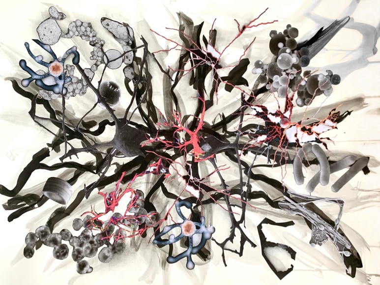 Julie Harrison, Brains 0959