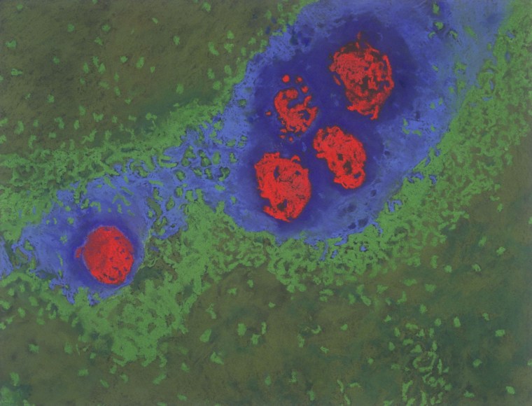 Jody Rasch, Flavius - Fever