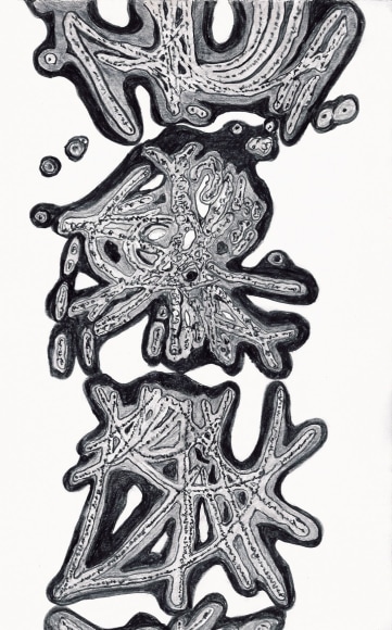 Jody Rasch, Particle Shower