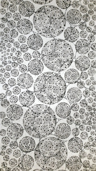 Shanthi Chandrasekar, Cosmic Fields