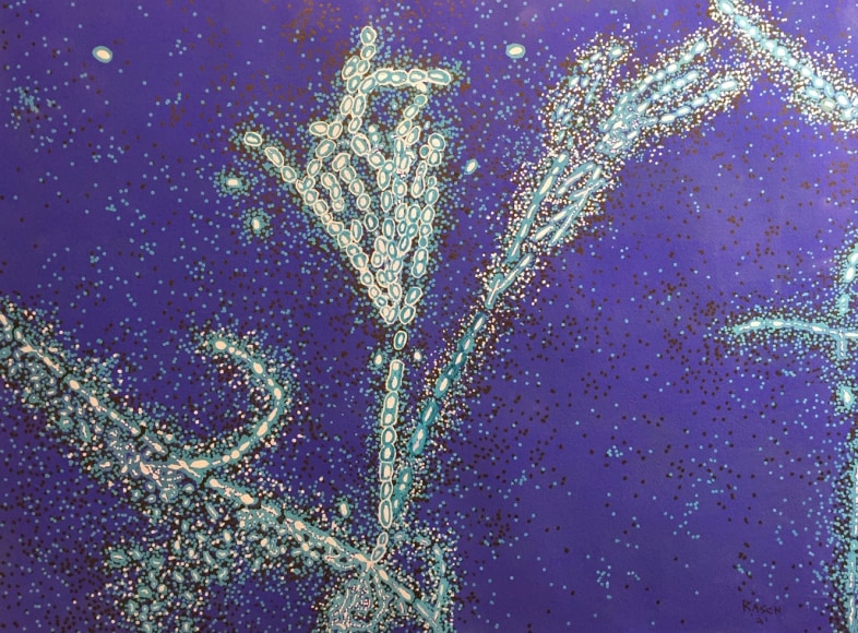 Jody Rasch, Other - Mycellum