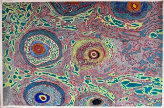 Jody Rasch, Beauty IV