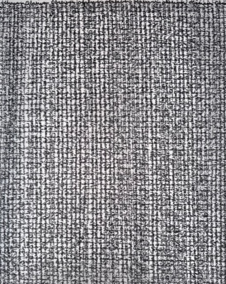 Jody Rasch, Observer Created Reality