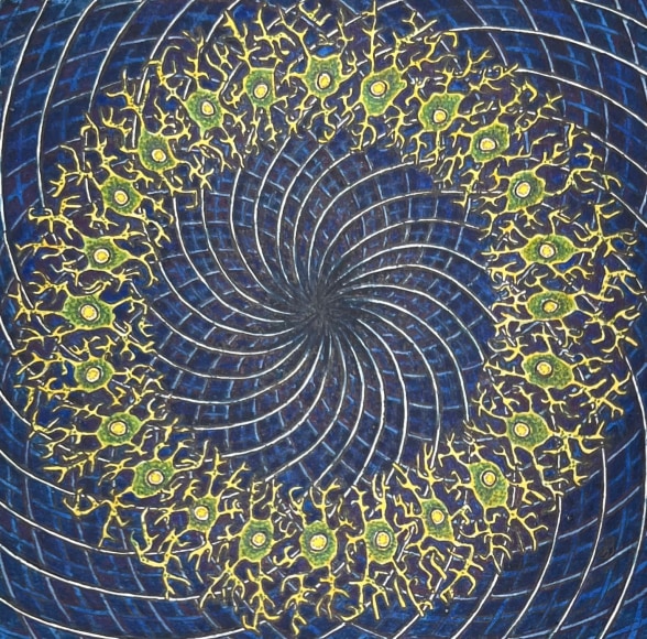 Shanthi Chanddrasekar, Microglia & Black Hole