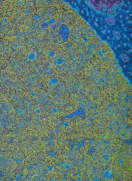 Jody Rasch, Sight - Optic Nerve