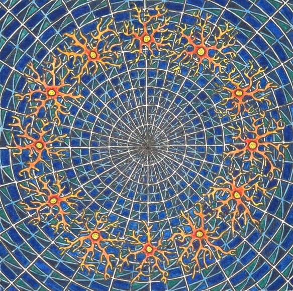 Shanthi Chandrasekar, Astrocytes & Space Time