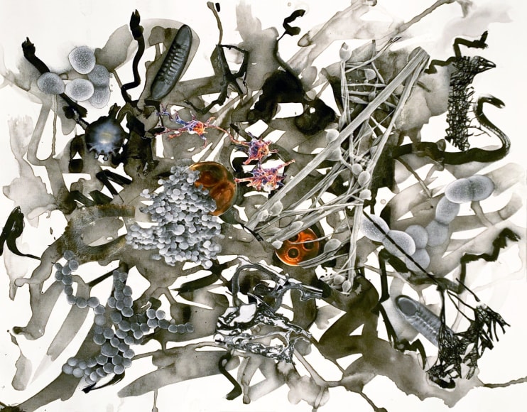 Julie Harrison, Brains 2348