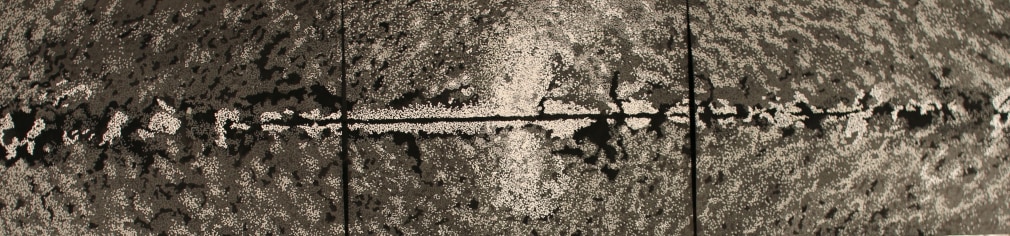 Jody Rasch, Milky Way with Fermi Bubble