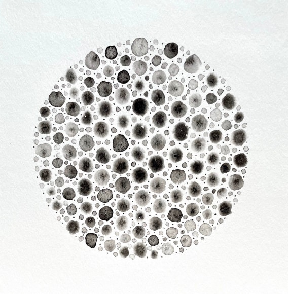 Shanthi Chandrasekar, Mapping Black Holes - Order & Chaos