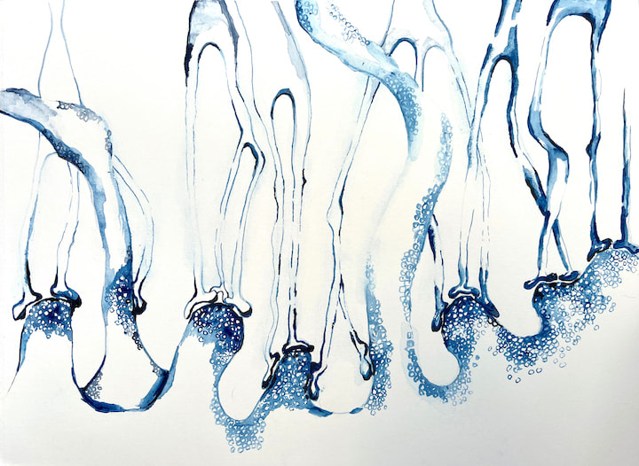 Michal Gavish, Electric Messages Field Guide (Synapsing)