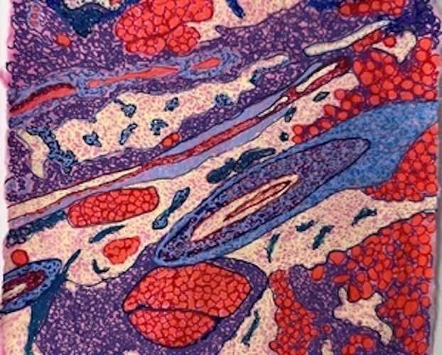 Jody Rasch, Beauty - Skin Cell 7