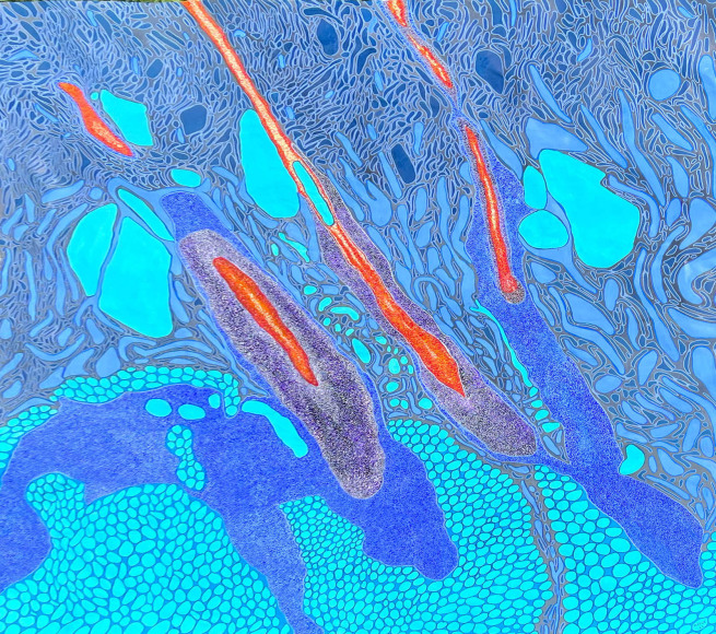 Jody Rasch, Beauty - Skin Cell 6