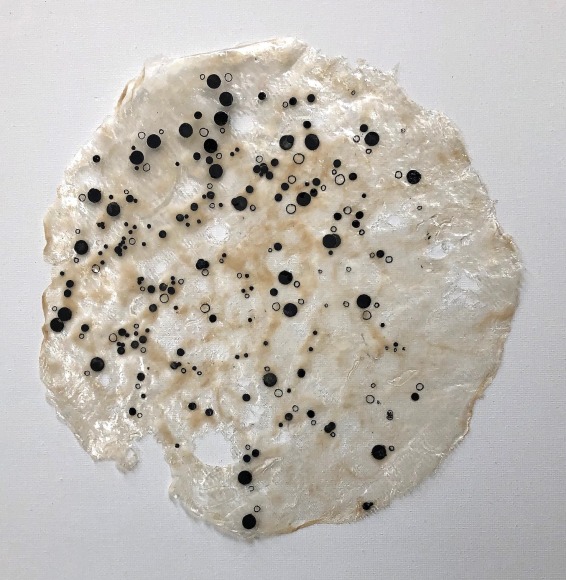 Shanthi Chandrasekar, Clusters