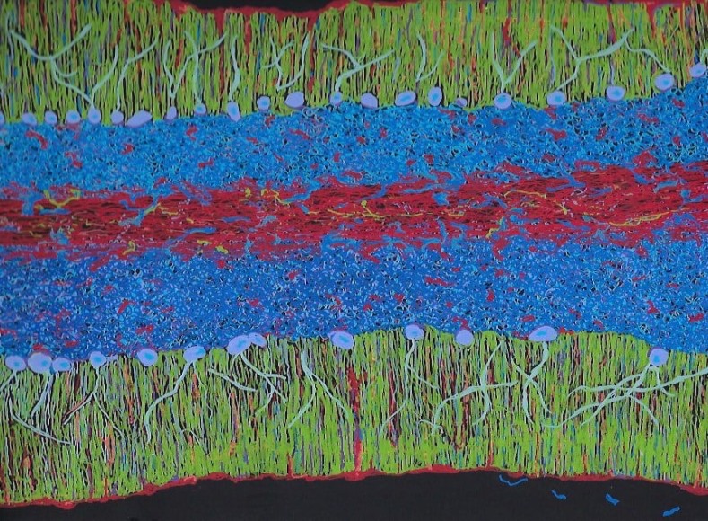 Jody Rasch, Thought - Cerebellum