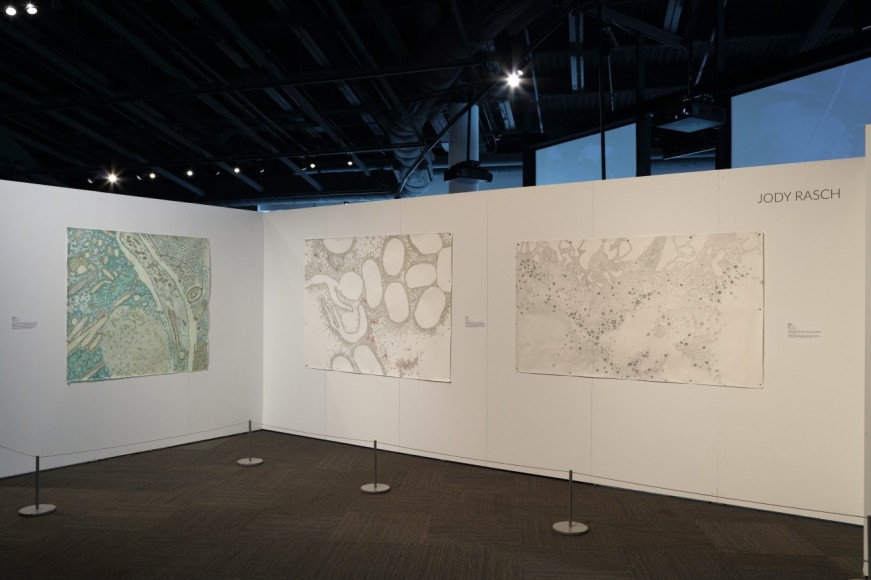 jody Rasch, The World Unseen: Intersections of Art and Science