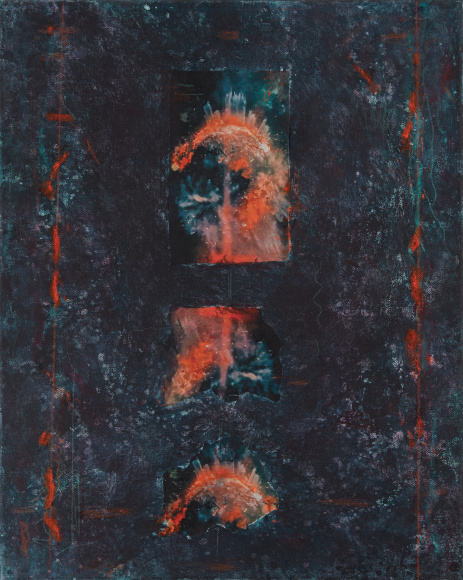 Sandra Lerner, Microcosm XXX