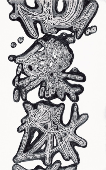 Jody Rasch, Particle Shower