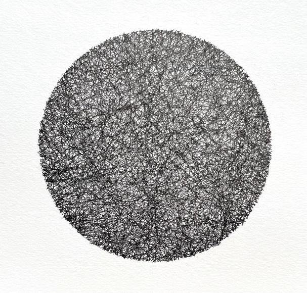 Shanthi Chandrasekar, Cosmic Web