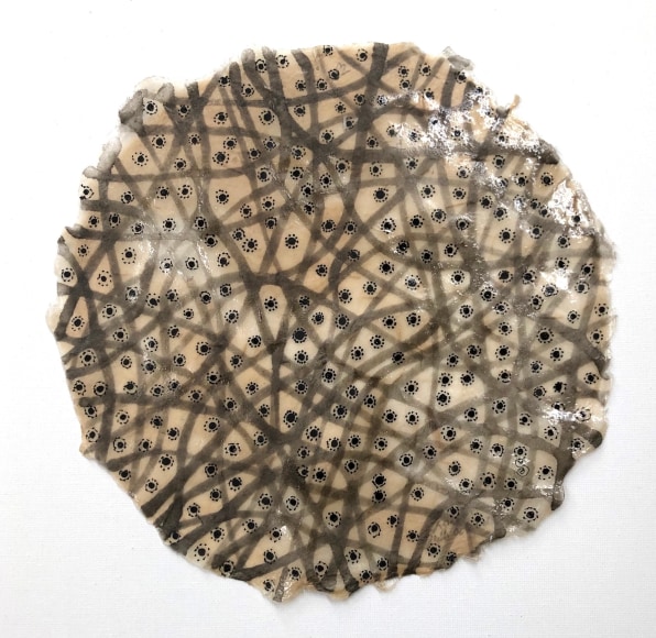 Shanthi Chandraseakr, Black Holes &amp; Filaments