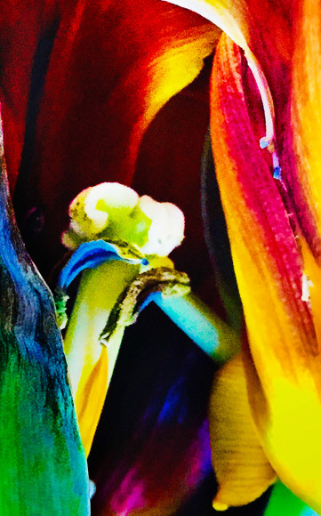 Joel Grey, Stamen Central, circa 2018