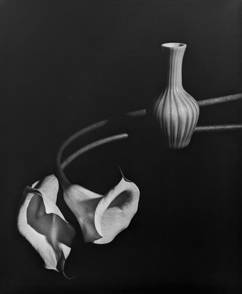 Horst, Two Callas with Blue Vase, New York, 1989